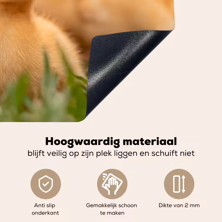 Pijltje - Eend - Natuur - Geel Inductie beschemer met haakjes klein -ky-onderkant-nl