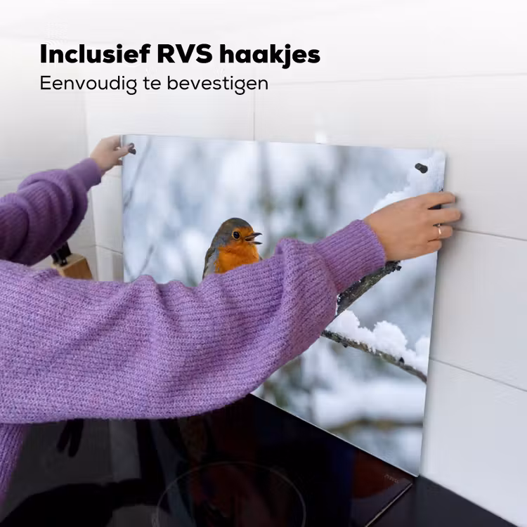 Roodborstje - Tak - Sneeuw - Winter - Levendig Inductie beschemer met haakjes klein -ky-ophangen-nl