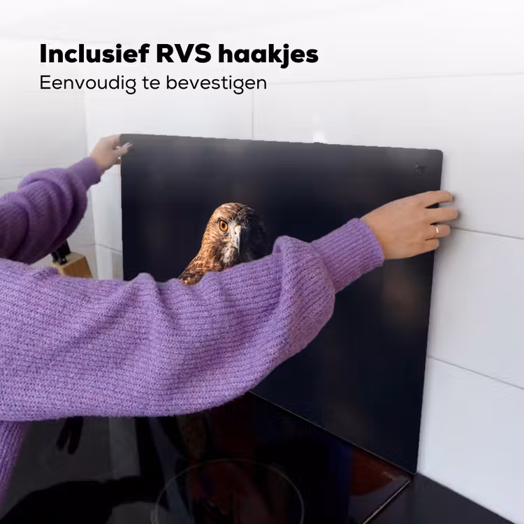Roofvogel - Buizerd - Bruin Inductie beschemer met haakjes klein -ky-ophangen-nl