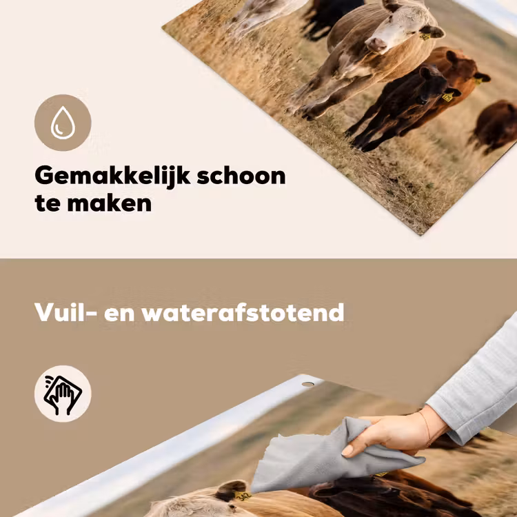 Runderen - Kudde - Landschap - Weide - Rustig Inductie beschemer met haakjes klein -ky-schoon-nl