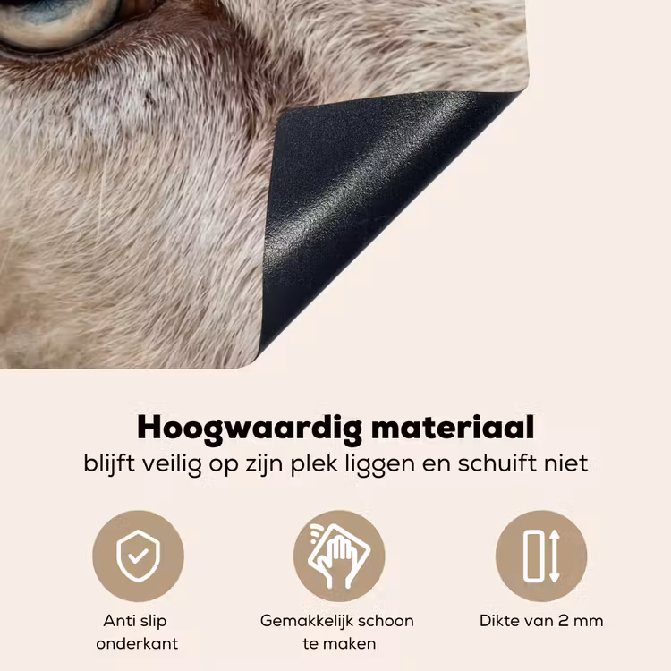 Schaap - Oog - Wit Inductie beschemer met haakjes klein -ky-onderkant-nl