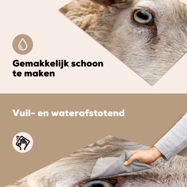 Schaap - Oog - Wit Inductie beschemer met haakjes klein -ky-schoon-nl