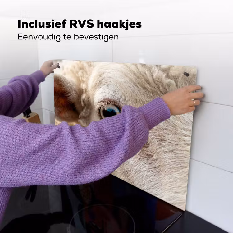 Schaap - Oog - Wit Inductie beschemer met haakjes klein -ky-ophangen-nl