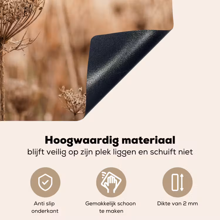 Schermbloem - Droogbloem - Winter - Beige - Minimalistisch Inductie beschemer met haakjes klein -ky-onderkant-nl