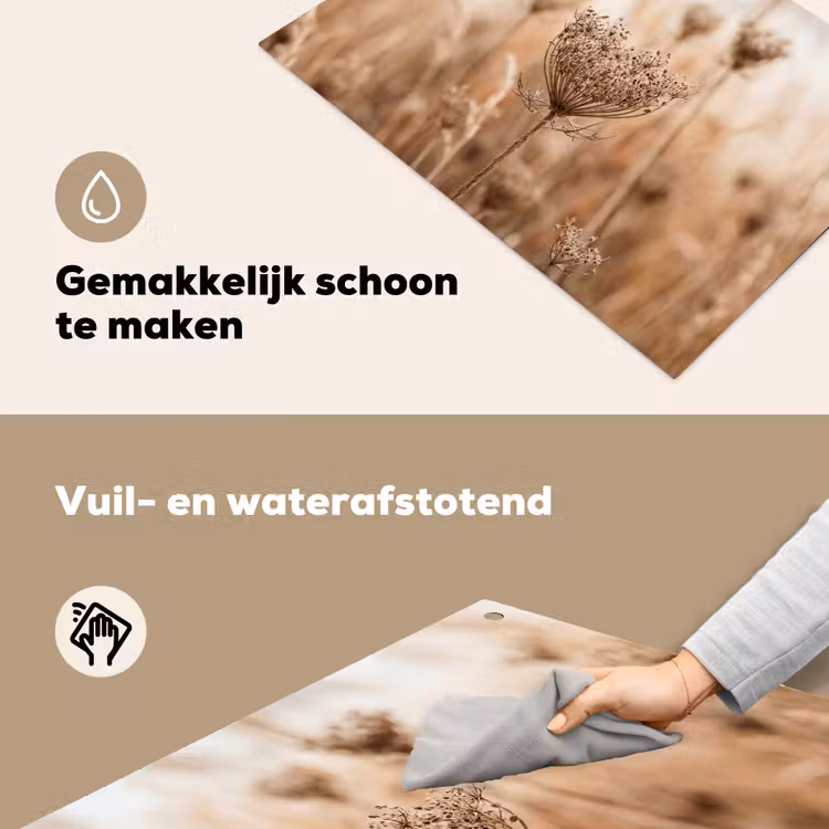 Schermbloem - Droogbloem - Winter - Beige - Minimalistisch Inductie beschemer met haakjes klein -ky-schoon-nl
