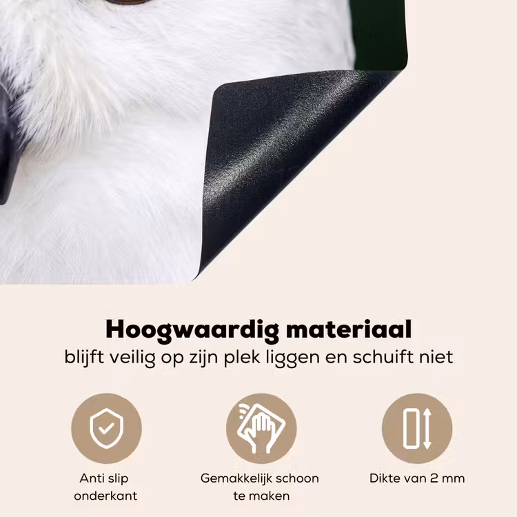 Sneeuwuil - Portret - Geel Inductie beschemer met haakjes klein -ky-onderkant-nl