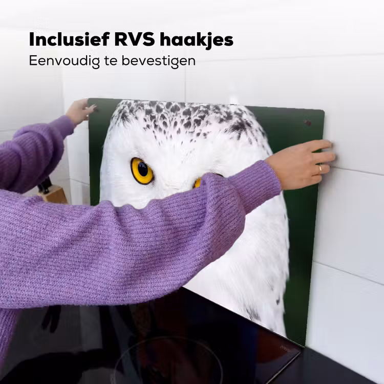 Sneeuwuil - Portret - Geel Inductie beschemer met haakjes klein -ky-ophangen-nl