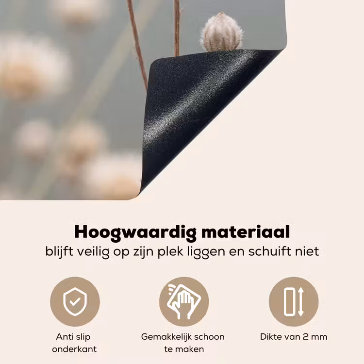 Strobloemen - Wit - Daglicht Inductie beschemer met haakjes klein -ky-onderkant-nl