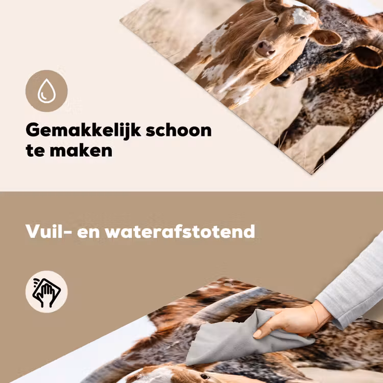 Texas Longhorn - Kalf - Weide - Dieren Inductie beschemer met haakjes klein -ky-schoon-nl