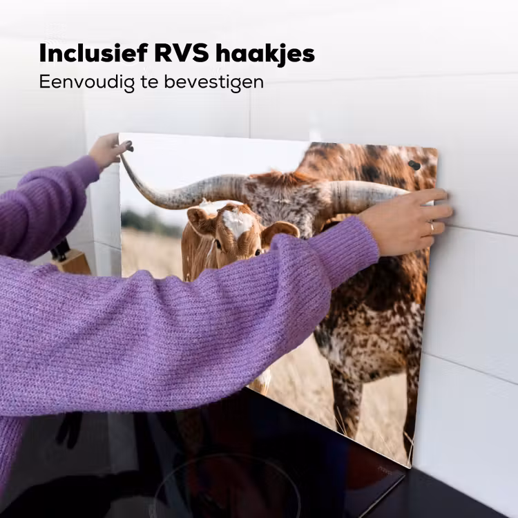 Texas Longhorn - Kalf - Weide - Dieren Inductie beschemer met haakjes klein -ky-ophangen-nl