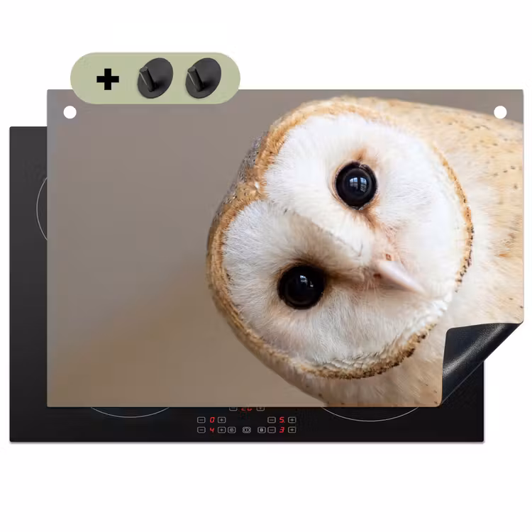 Uil - Bruin - Wit Inductie beschemer met haakjes klein -3d