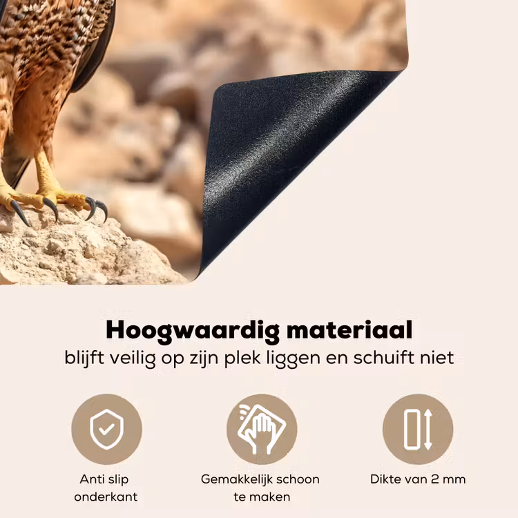Valk - Vogel - Rots - Macht Inductie beschemer met haakjes klein -ky-onderkant-nl