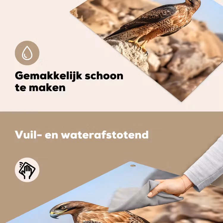 Valk - Vogel - Rots - Macht Inductie beschemer met haakjes klein -ky-schoon-nl