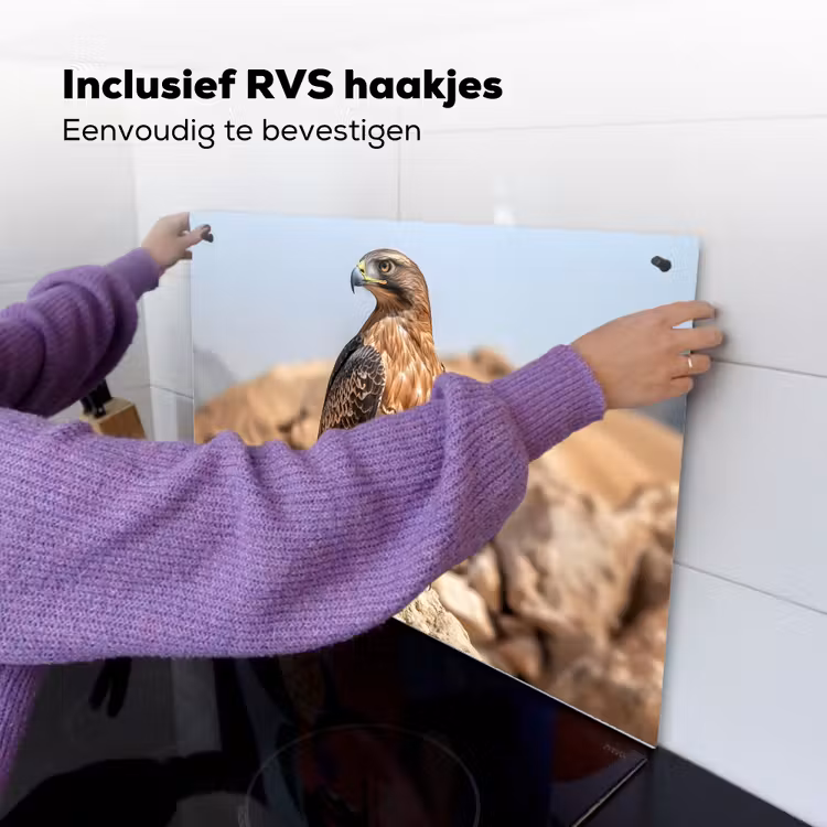 Valk - Vogel - Rots - Macht Inductie beschemer met haakjes klein -ky-ophangen-nl