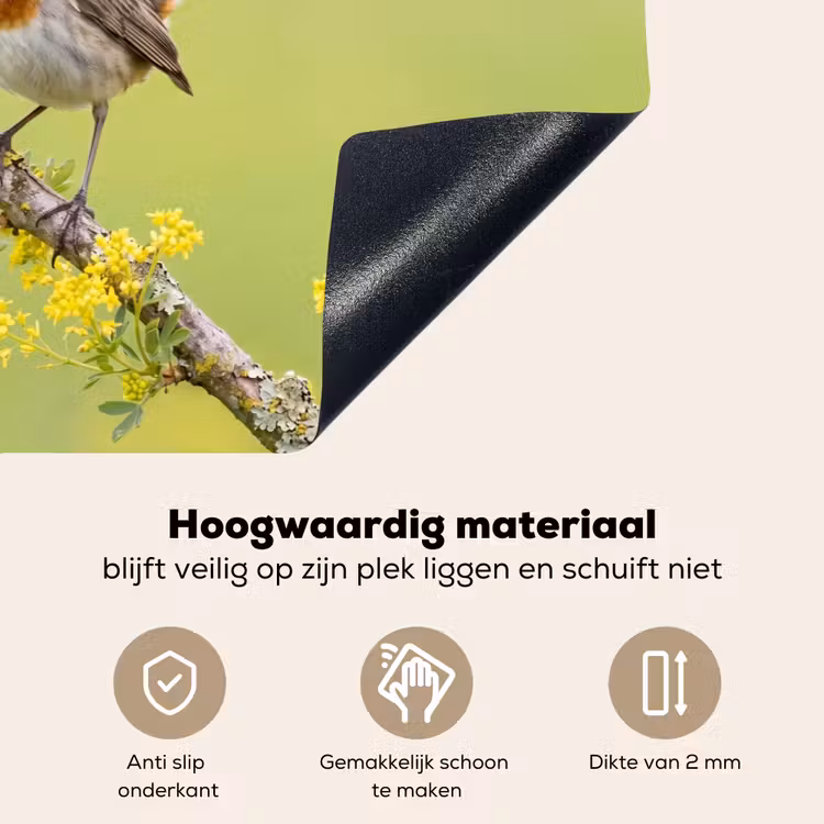 Vogel - Tak - Natuur - Kleurrijk Inductie beschemer met haakjes klein -ky-onderkant-nl