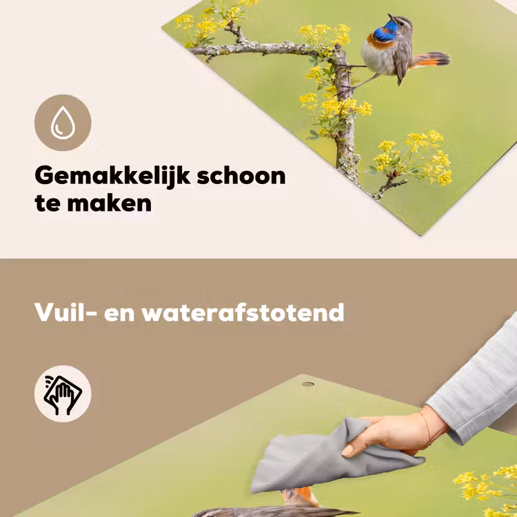 Vogel - Tak - Natuur - Kleurrijk Inductie beschemer met haakjes klein -ky-schoon-nl