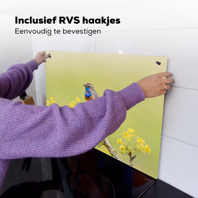 Vogel - Tak - Natuur - Kleurrijk Inductie beschemer met haakjes klein -ky-ophangen-nl
