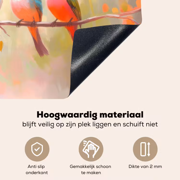 Vogels - Kleurrijk - Tak Inductie beschemer met haakjes klein -ky-onderkant-nl