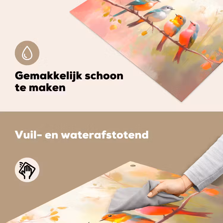 Vogels - Kleurrijk - Tak Inductie beschemer met haakjes klein -ky-schoon-nl