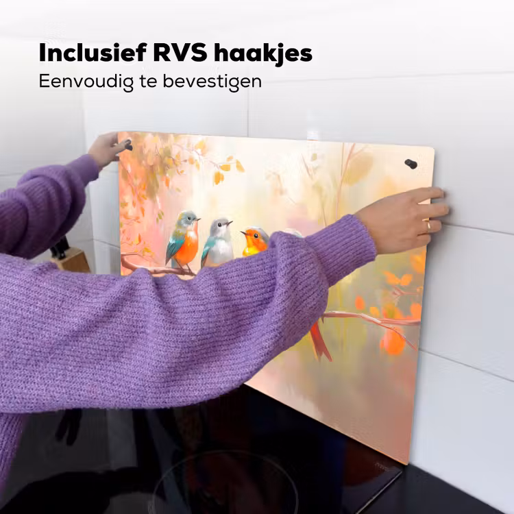Vogels - Kleurrijk - Tak Inductie beschemer met haakjes klein -ky-ophangen-nl