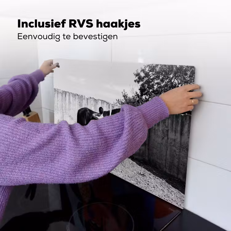 Vrouw - Paard - Artistiek Inductie beschemer met haakjes klein -ky-ophangen-nl