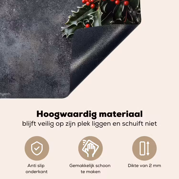 Winter - Hulst - Kerst - Beton Inductie beschemer met haakjes klein -ky-onderkant-nl