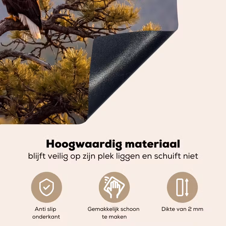 Zeearend - Boom - Bergen - Groen Inductie beschemer met haakjes klein -ky-onderkant-nl