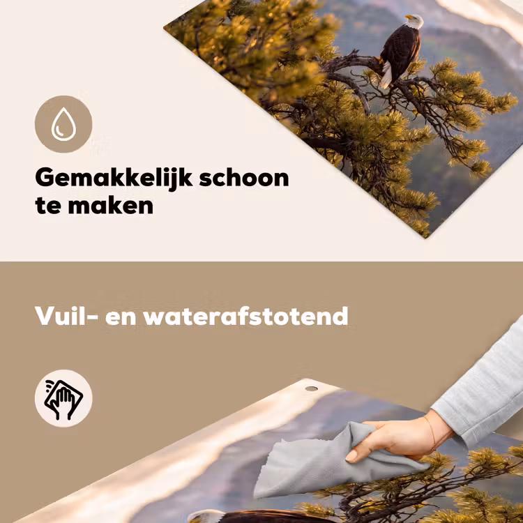 Zeearend - Boom - Bergen - Groen Inductie beschemer met haakjes klein -ky-schoon-nl