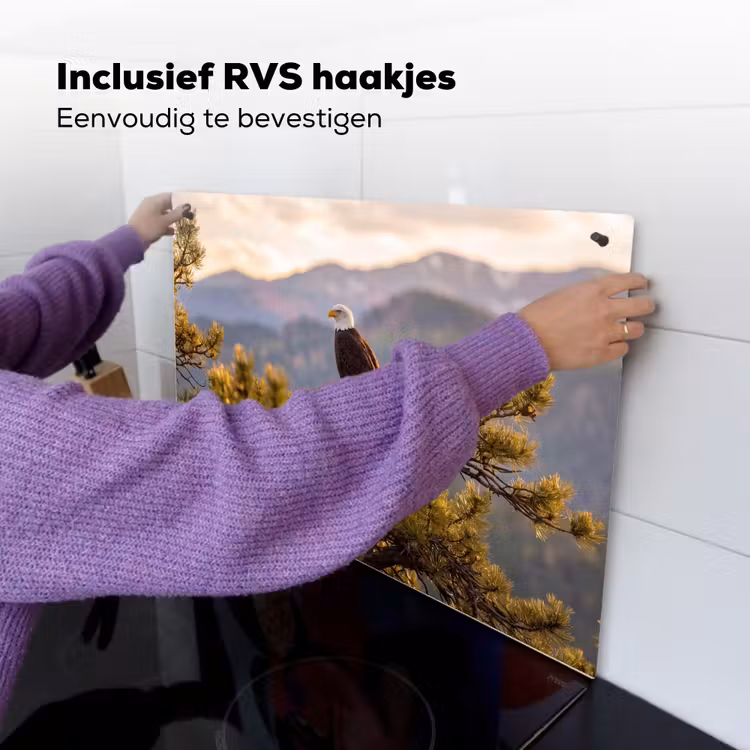 Zeearend - Boom - Bergen - Groen Inductie beschemer met haakjes klein -ky-ophangen-nl