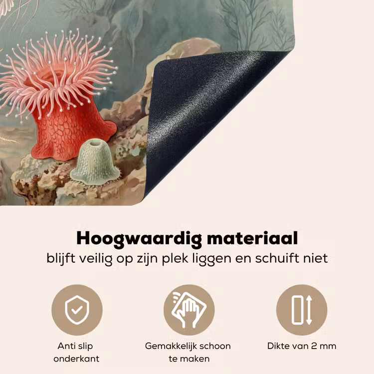 Zeeleven - Kwal - Onderwater - Illustratie - Beige Inductie beschemer met haakjes klein -ky-onderkant-nl
