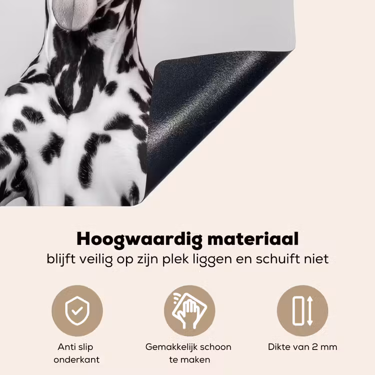Zonnebril - Dalmatiër - Wijnglas - Tong Inductie beschemer met haakjes middel -ky-onderkant-nl