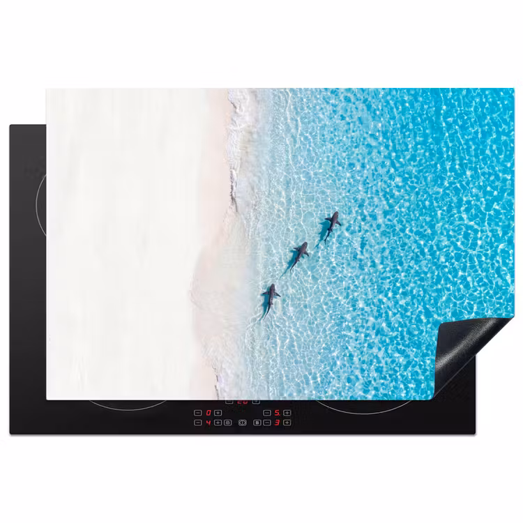 Vis - Oceaan - Strand - Turquoise - Natuur Inductie beschermer vinyl 3mm klein -3d