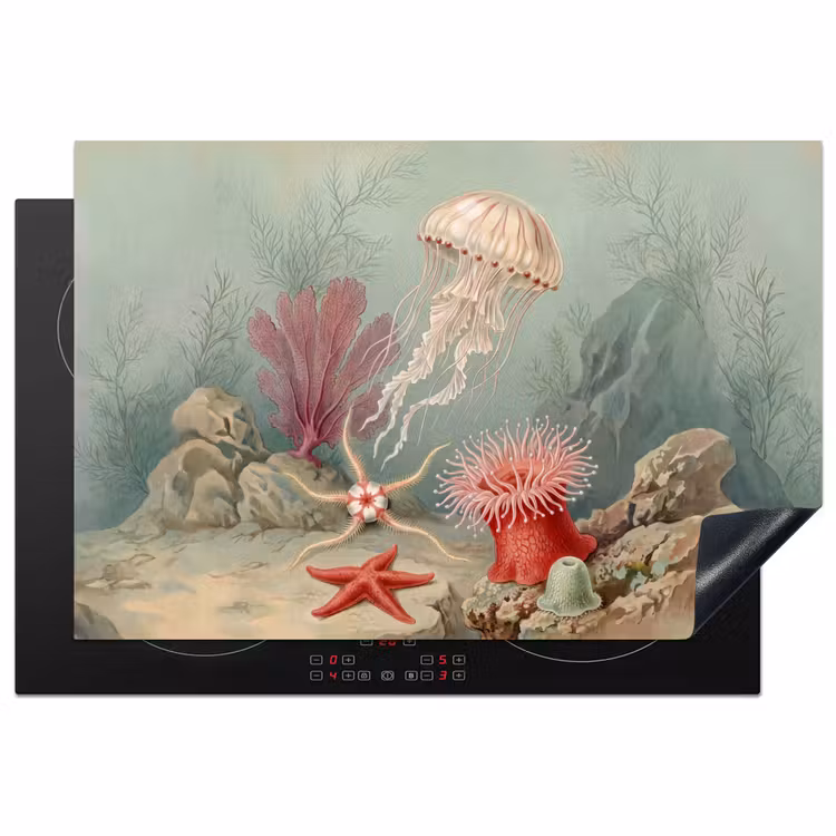 Zeeleven - Kwal - Onderwater - Illustratie - Beige Inductie beschermer vinyl 3mm klein -3d