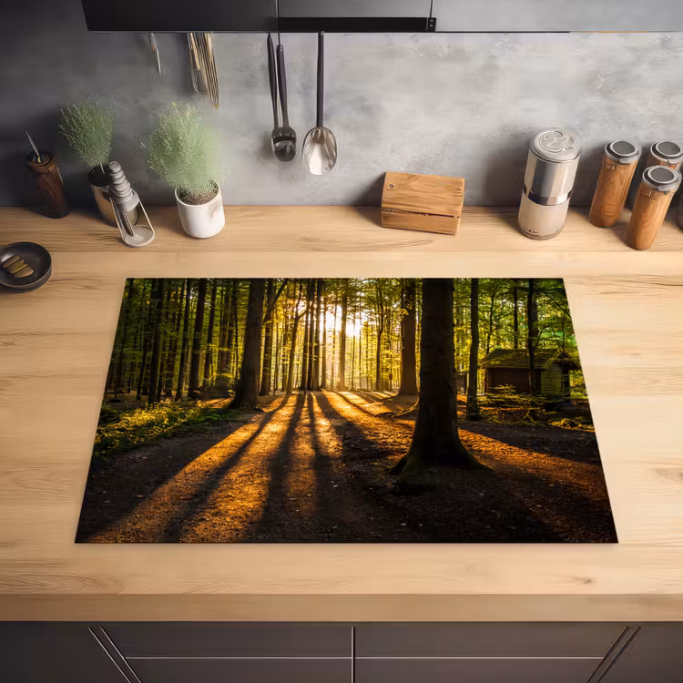Zon - Bomen - Bos - Landschap - Natuur Inductie beschermer vinyl 3mm middel -sfeer5