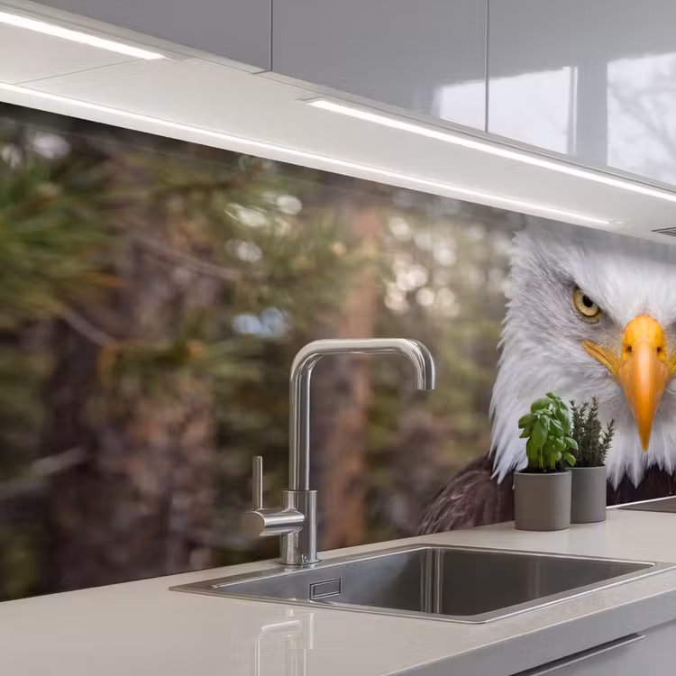 Amerikaans - Zeearend - Portret - Geel keuken achterwand 2 middel -3d_schuin