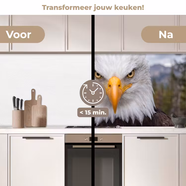 Amerikaans - Zeearend - Portret - Geel keuken achterwand 2 middel -voor-na2_NL