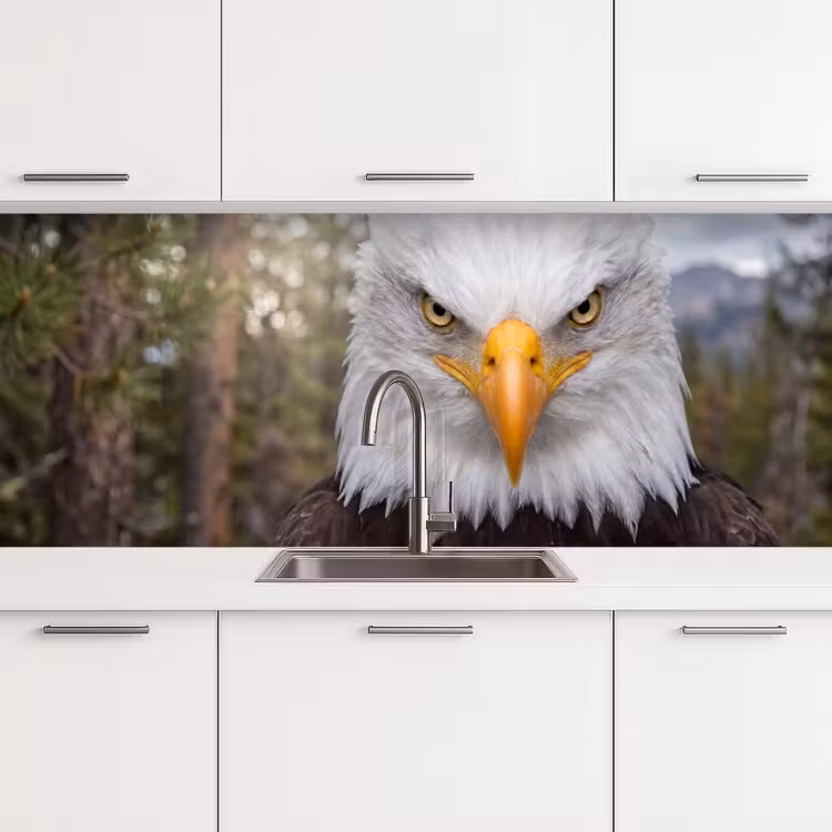 Amerikaans - Zeearend - Portret - Geel keuken achterwand 2 middel -3d