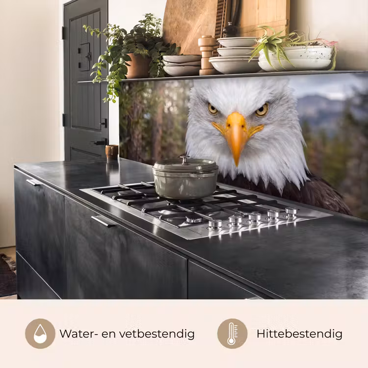 Amerikaans - Zeearend - Portret - Geel keuken achterwand 2 middel -usp_NL