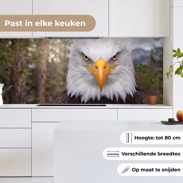 Amerikaans - Zeearend - Portret - Geel keuken achterwand 2 middel -sfeer4_NL