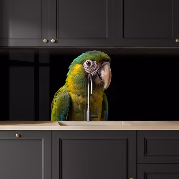 Ara - Portret - Groen keuken achterwand 2 middel -sfeer1