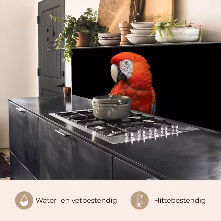 Ara - Portret - Rood keuken achterwand 2 middel -usp_NL