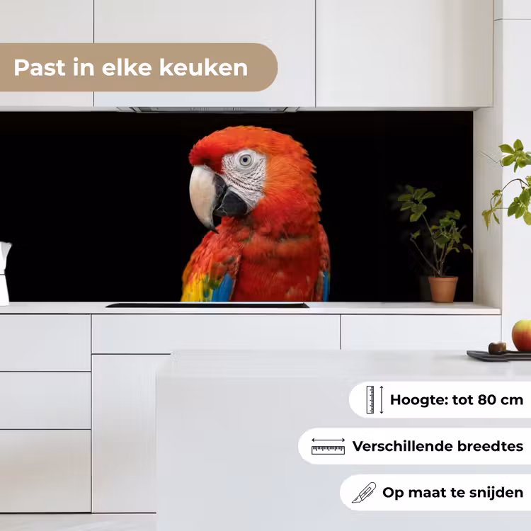Ara - Portret - Rood keuken achterwand 2 middel -sfeer4_NL
