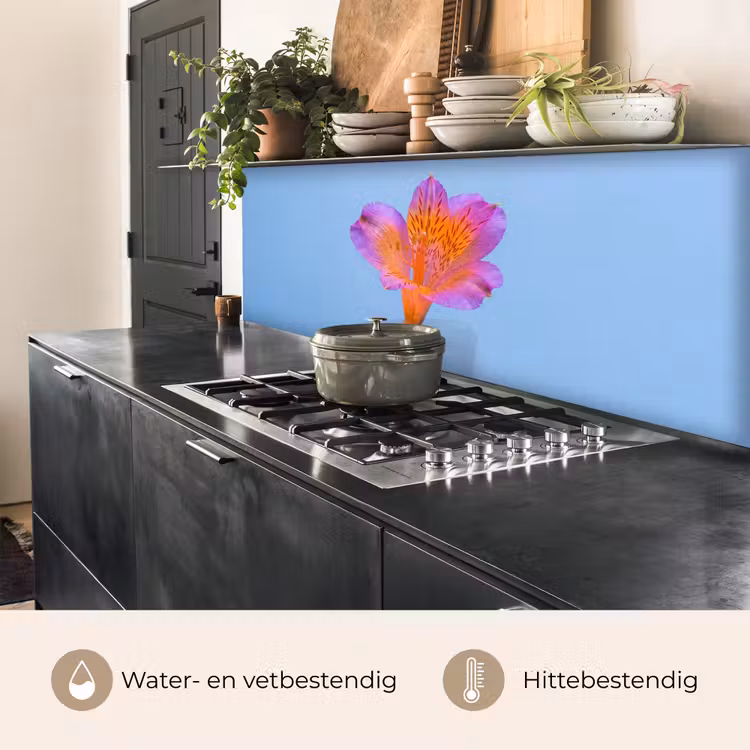 Bloem - Detail - Kleurrijk keuken achterwand 2 middel -usp_NL