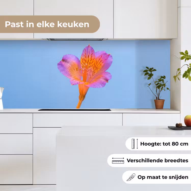Bloem - Detail - Kleurrijk keuken achterwand 2 middel -sfeer4_NL