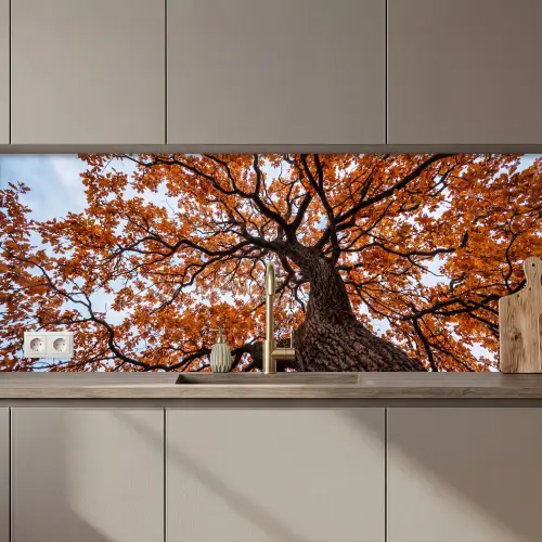 Keuken achterwand - Boom - Bladerdak - Herfst - Oranje - Sfeervol