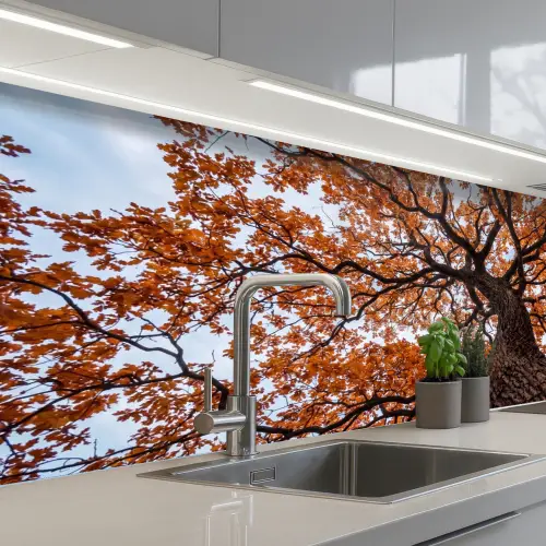 Boom - Bladerdak - Herfst - Oranje - Sfeervol keuken achterwand 2 middel -3d_schuin