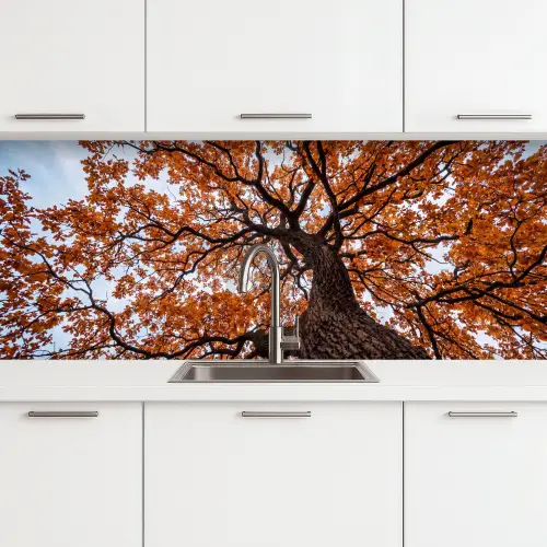 Boom - Bladerdak - Herfst - Oranje - Sfeervol keuken achterwand 2 middel -3d
