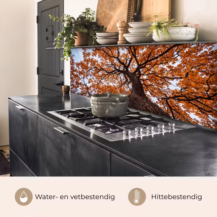 Boom - Bladerdak - Herfst - Oranje - Sfeervol keuken achterwand 2 middel -usp_NL