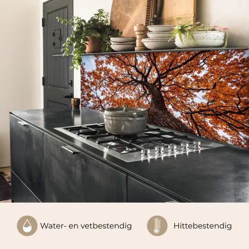 Boom - Bladerdak - Herfst - Oranje - Sfeervol keuken achterwand 2 middel -usp_NL