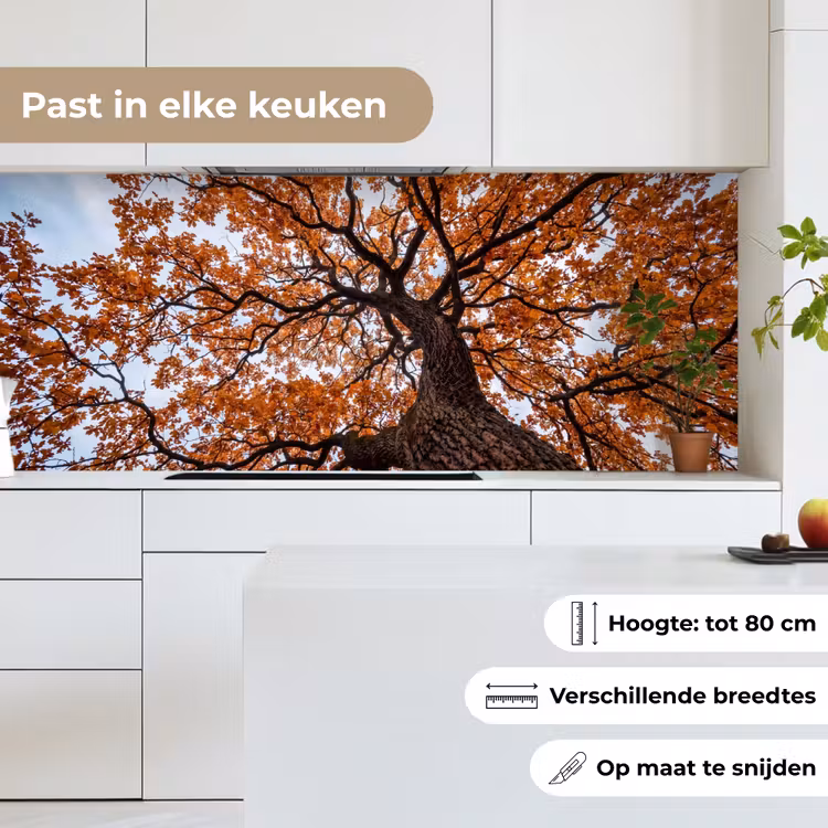 Boom - Bladerdak - Herfst - Oranje - Sfeervol keuken achterwand 2 middel -sfeer4_NL